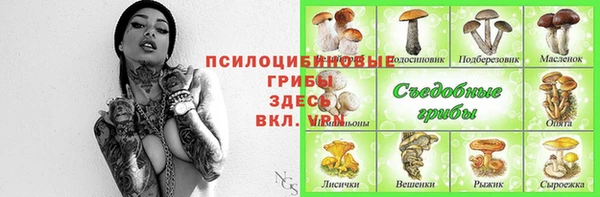 кокс Алексин