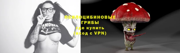 кокс Алексин