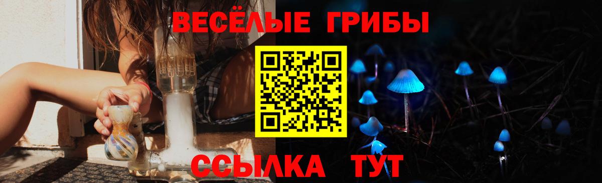 Ишим  Галлюциногенные грибы прущие грибы  Вход с VPN 